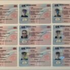 The Ultimate UK Drivers Licence