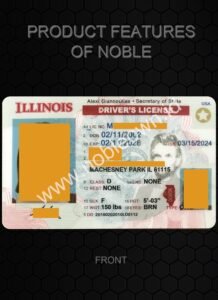 Classic USA Drivers License