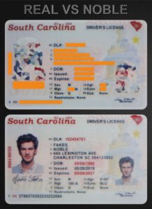South Carolina(New SC)