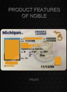Michigan (New MI)