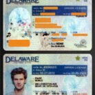 fake id